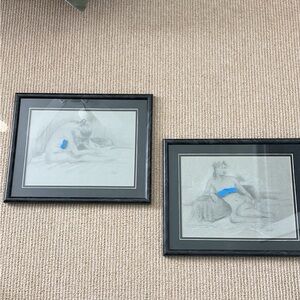 Elegant Framed Art Sketch Duo - Black and Gray